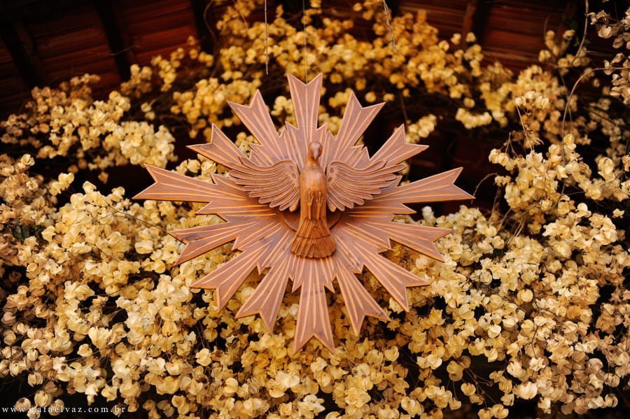 Casamento Renata e Pedro, Constace Zahn, Fabio Borgatto, Telma Hayashi, Copo de Leite Decoração, Fazenda Dona Catarina, Fotografia de Casamento, Fotógrafo de Casamento, Fotógrafo de Casamento em Santos, Fotógrafo de Casamento em São Paulo, Casamento de dia, Casamento em São Paulo, Casamento Fazenda Dona Catarina, Casamento na fazenda, Casamento em Mairinque, Rafael Vaz, Rafael Vaz fotógrafo