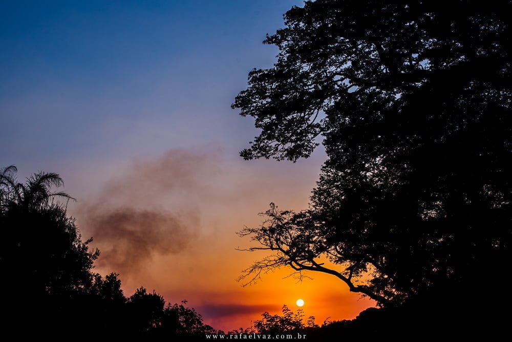 close no por do sol alaranjado e azul entre as arvores