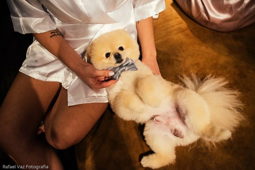 casamento na casa petra, casa petra, petra, casa, casa petra sp, casa petra são paulo, casa petra sao paulo, fotos de casamento na casa petra, fotografo de casamento em sao paulo, fotografia de casamento na casa petra, noiva na casa petra, decoração de casamento casa petra