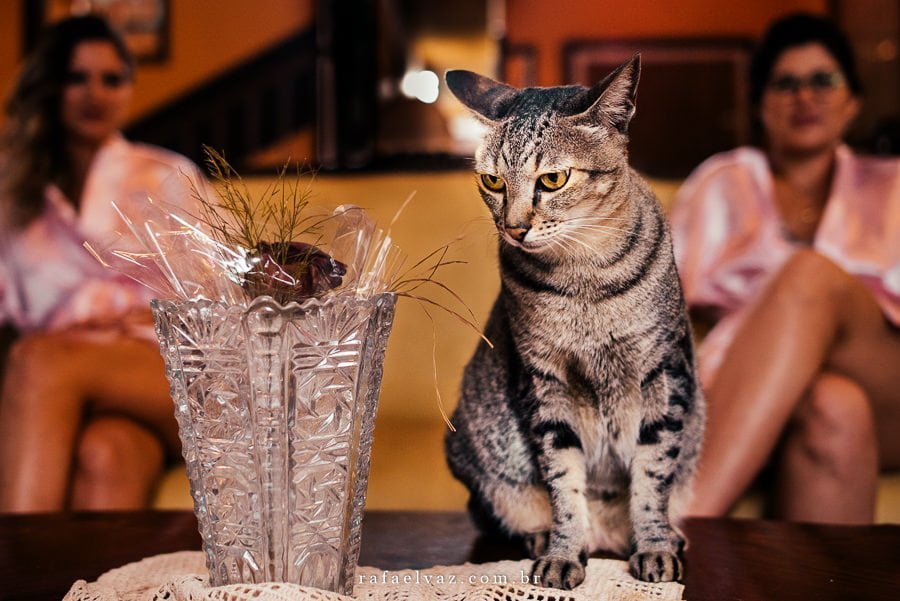 casamento em ilhabela, fotografia de casamento na praia, casamento restaurante all mirante, fotografia de casamento sp, fotografo de casamento sp. casamento em ilhabela, fotografia de casamento na praia, casamento restaurante all mirante, fotografia de casamento sp, fotografo de casamento sp.