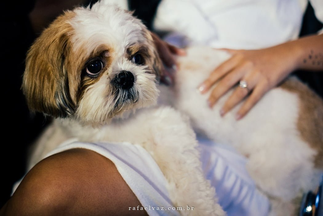 Casamento no Castelo de Itaipava, casamento no castelo de itaipava, castelo de itaipava eventos, castelo de itaipava hotel, castelo de itaipava historia, castelo de itaipava petropolis, castelo de itaipava casamento preço, castelo de itaipava eventos rj, castelo de itaipava como chegar, castelo de itaipava fotos, fotos do castelo de itaipava, fotografo rafael vaz, fotografo de casamento castelo de itaipava, casar em castelo, casar em um castelo, casar no castelo, castelo, castelo itaipava, casamentos rj, fotos no castelo, noivos no castelo, noivos no castelo de itaipava