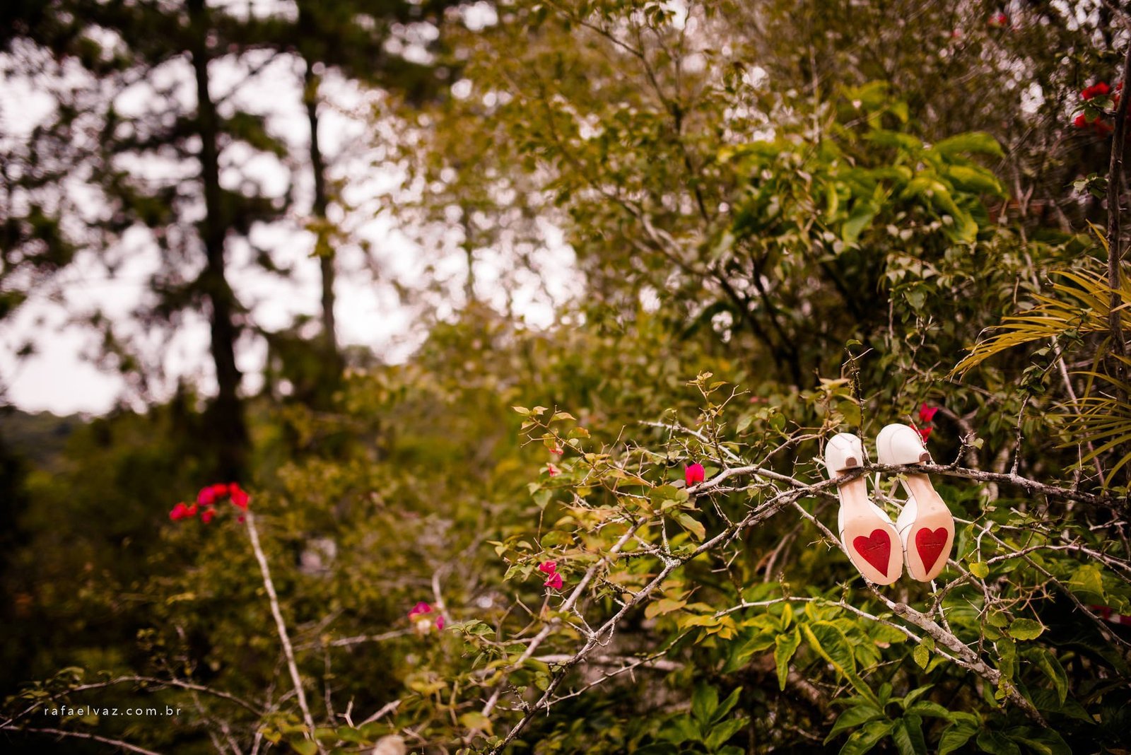 Casamento no Espaço Serra do Mar a noite, casamento no campo, casamento a noite, casamento no campo a noite, casamento em sp, casamento em sao paulo, decoração de casamento no campo, decoração de casamento rustico, decoração de casamento, flores no casamento, lucas anderi, vestido de noiva, vestida de noiva, vestido de noiva lucas anderi, rafael vaz fotografo, rafael vaz fotografia, casar no campo, say i do