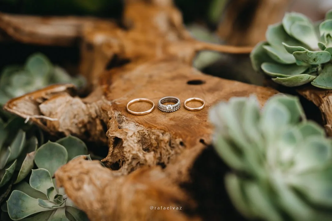 Casamento na bahia, casamento em salvador, casamento em itacimirim, casamento b blue, b blue beachouses, casamento na praia, casamento de dia, decoração de casamento, decoração de casamento b blue, fotos de casamento na bahia, fotos de casamento itacimirim