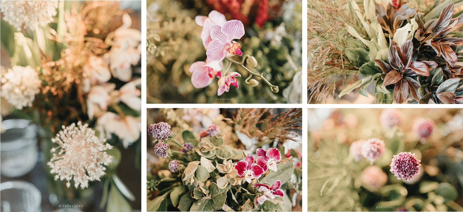 Fotografo de casamento sp, casamento no espaço serra do mar, rafael vaz fotografia, casamento folk, casamento romantico de dia, decoração de casamento de dia, rafael vaz fotografo, rafael vaz fotografia, rafael vaz, fotografia de casamento, fotografo de casamento, fotografia de casamento sp