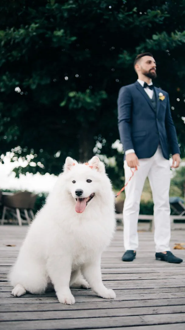fotografo de casamento, fotografia de casamento, fotografo, fotografo profissional, fotografo de casamento sp, rafael vaz, fotos de casamento na praia, fotos de casamento em ilhabela, fotografo de casamento em ilhabela, casamento em ilhabela, casamento na praia, fotos noivas sp, tais puntel, decoração de casamento na praia